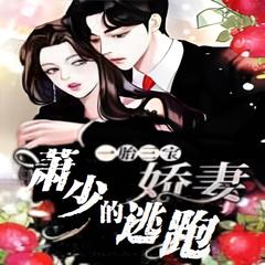 一胎两宝：萧少的逃跑娇妻(多人剧)