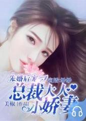 先婚后宠：总裁大人小娇妻(多人剧)